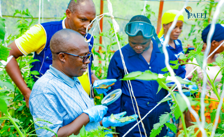 visite de terrain des serres pour inspection et intervention sanitaire rapide